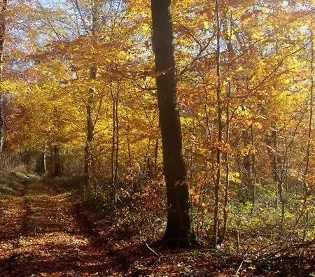 Lägenhet Appartement Geichlingen *