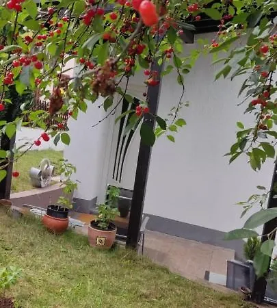 Appartement Geichlingen Geichlingen