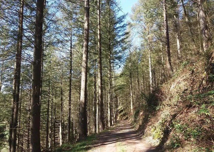 Appartement Geichlingen Apartamento *