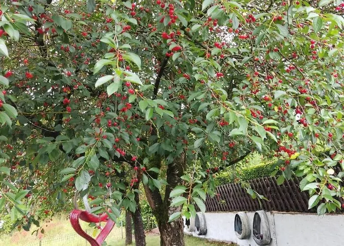Appartement Geichlingen *