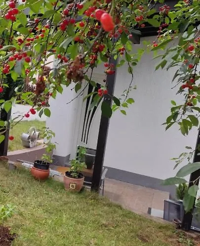 Appartement Geichlingen Geichlingen